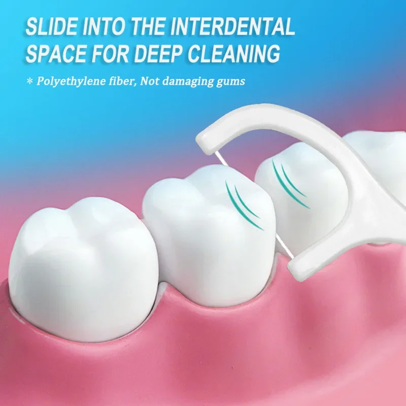 150 Buah Tusuk Gigi Tusuk Bena - Dental Floss Picks ulasan dan harga