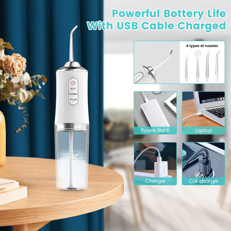 Alat Pembersih Gigi Oral Irrig - Dental Floss Picks ulasan dan harga