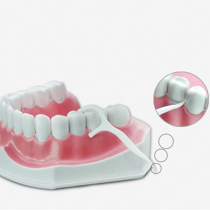 50 Buah Tusuk Benang Gigi Tusu - Dental Floss Picks ulasan dan harga