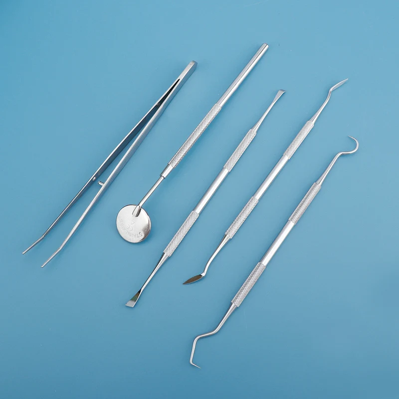 Alat Pembersih Gigi Interdenta - Dental Floss Picks ulasan dan harga